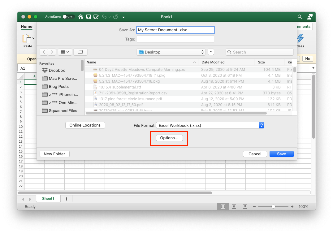 save an excel file for a mac